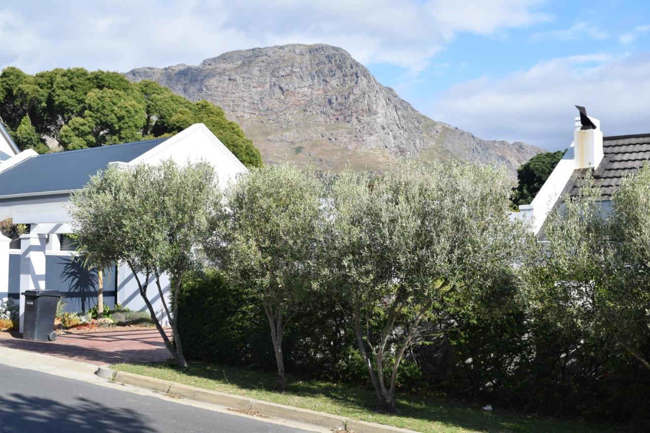 Protea Studio Franschhoek Central Esterno foto